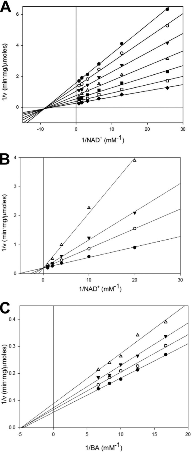 FIG 3