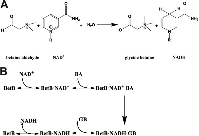 FIG 1