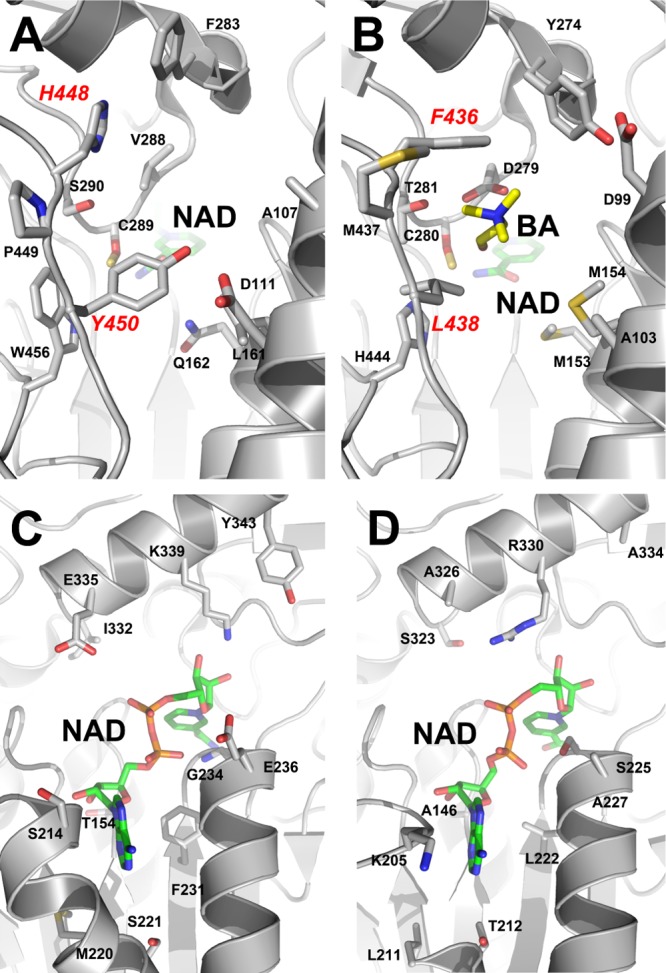 FIG 4