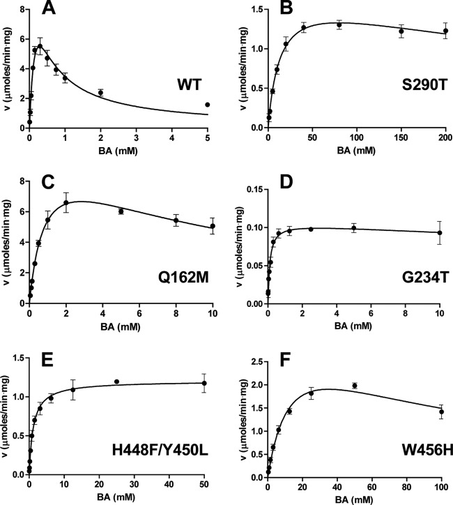 FIG 6