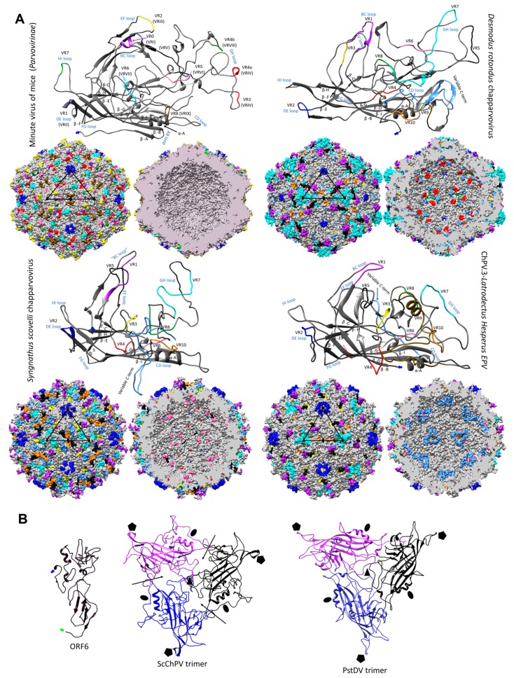 Figure 6