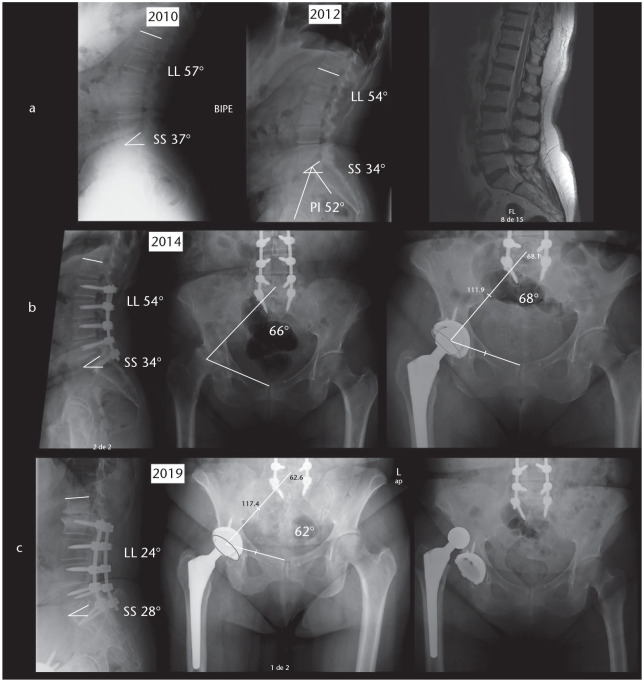 Fig. 5