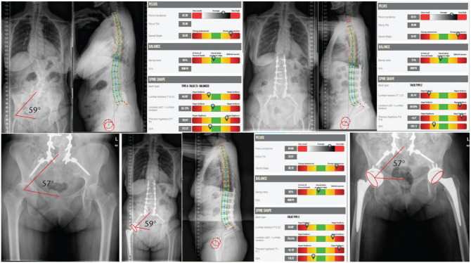 Fig. 6