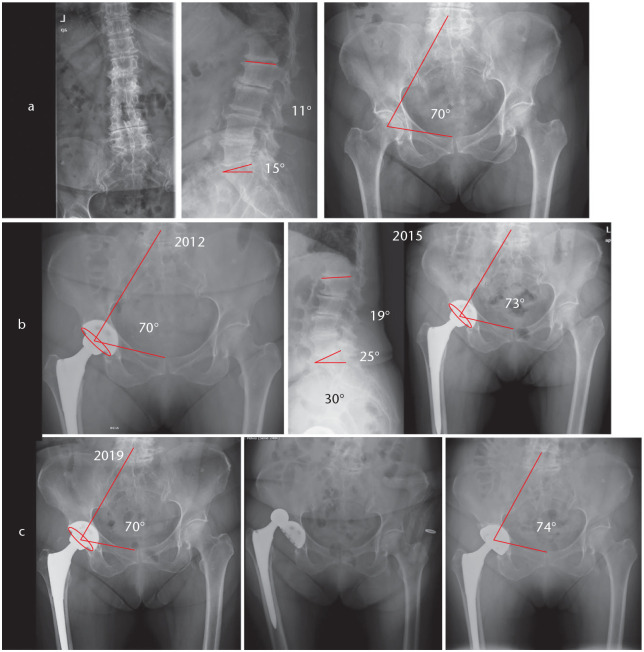 Fig. 8