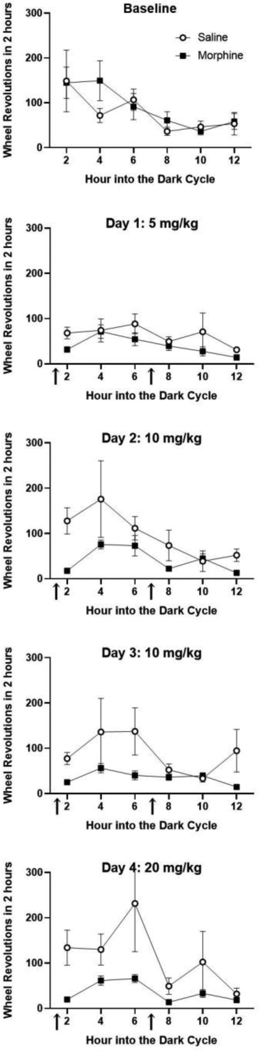 Fig 4: