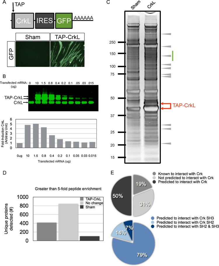 FIG 3