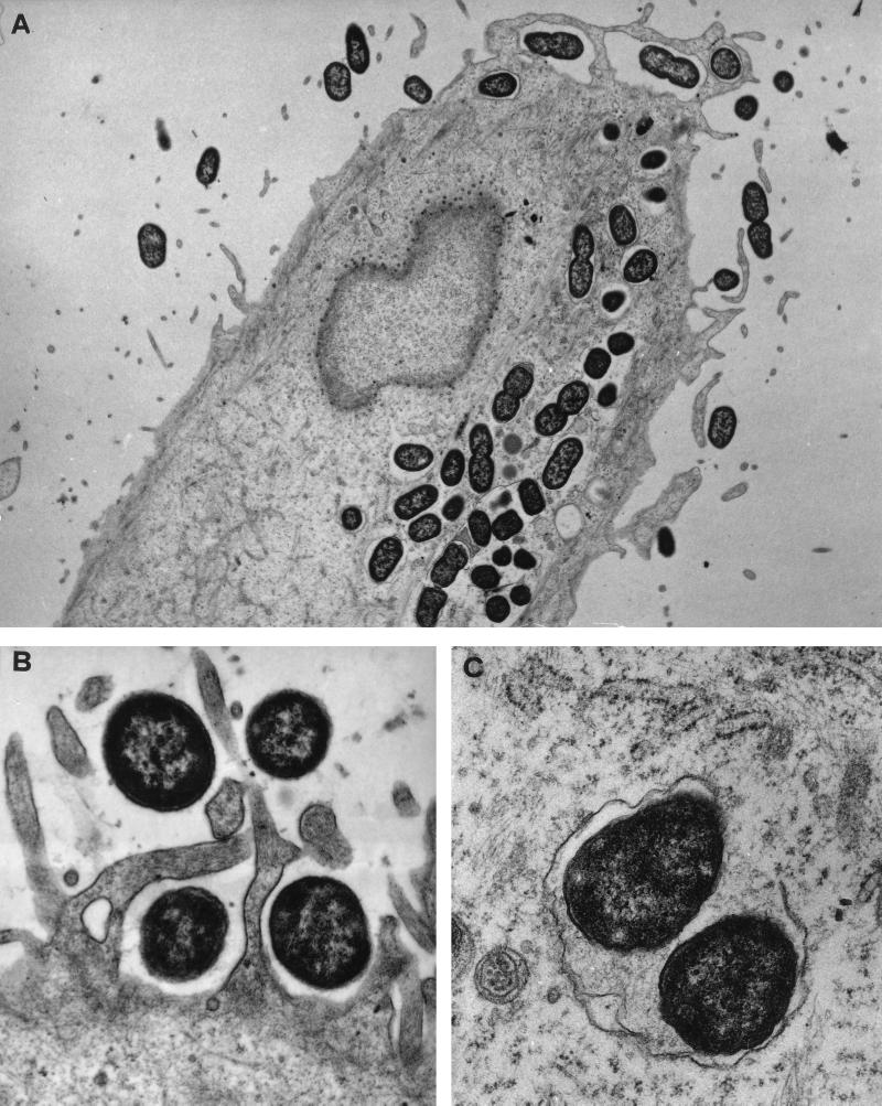 FIG. 6