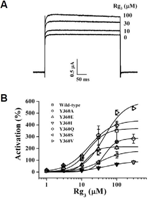 Fig. 5.