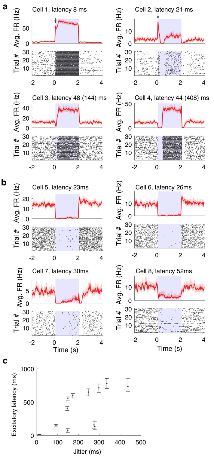 Figure 1—figure supplement 4.