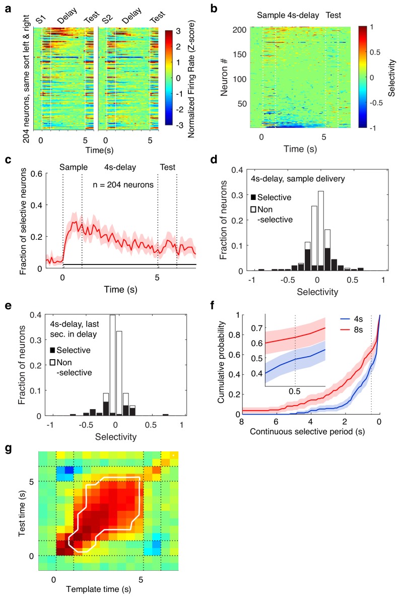 Figure 5—figure supplement 3.