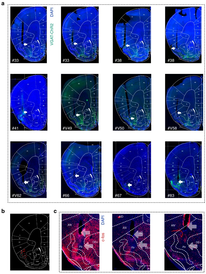 Figure 1—figure supplement 2.