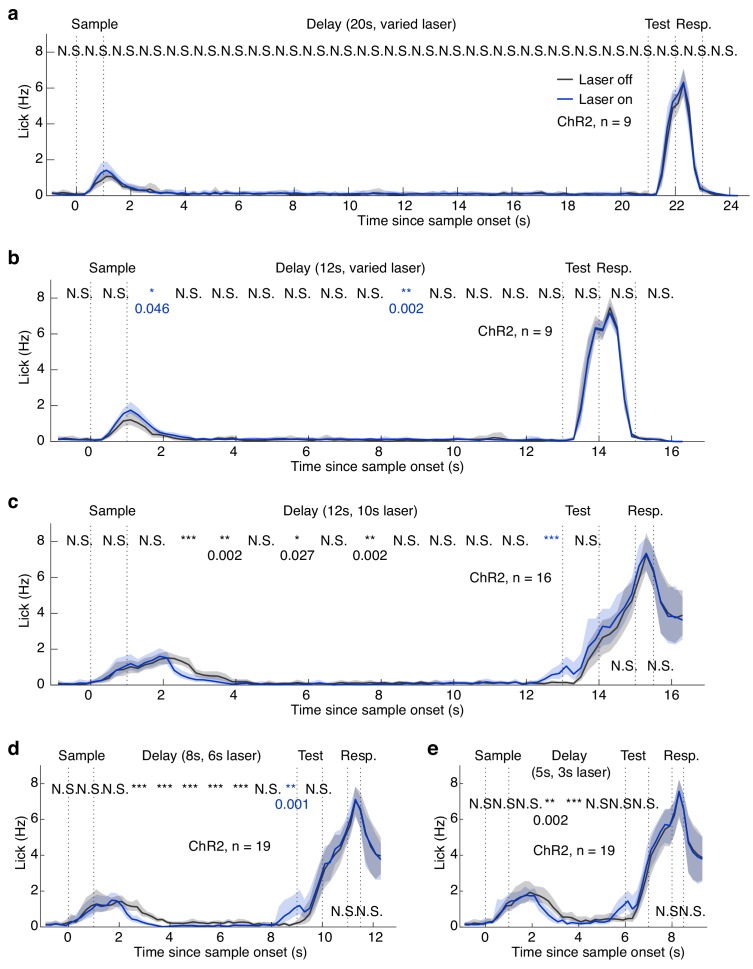 Figure 1—figure supplement 6.