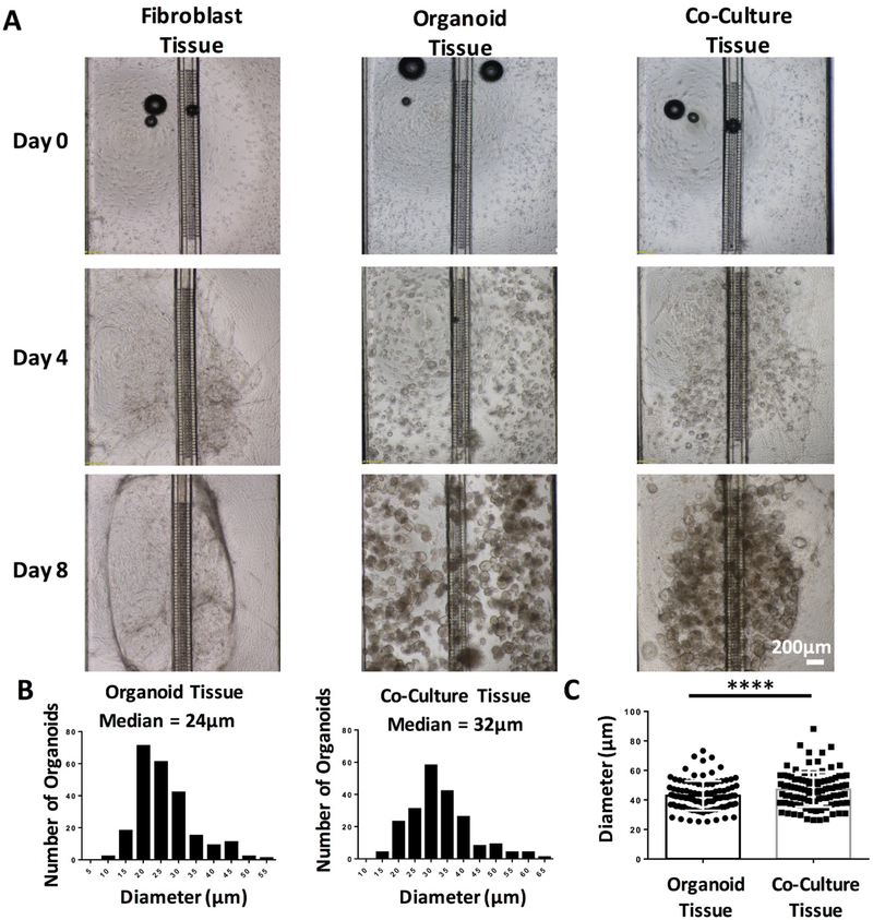 Figure 2: