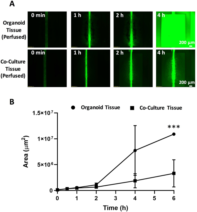 Figure 6: