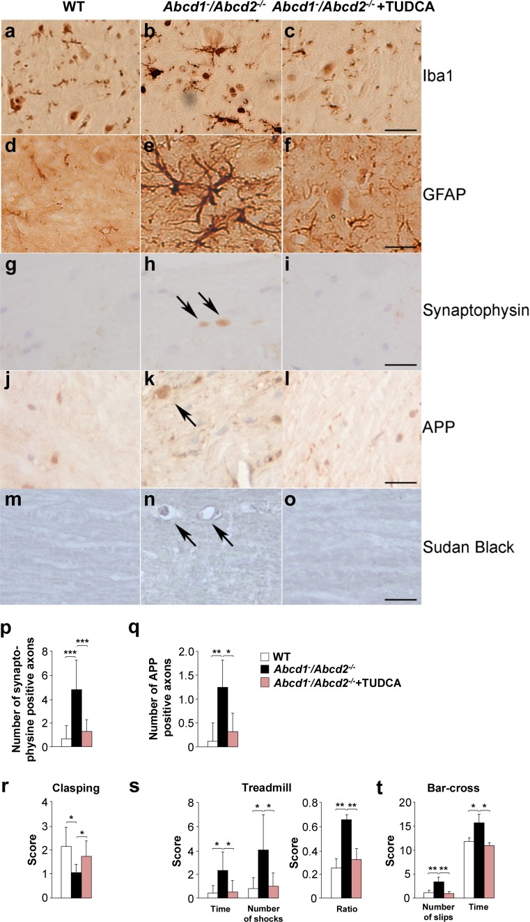 Fig. 6