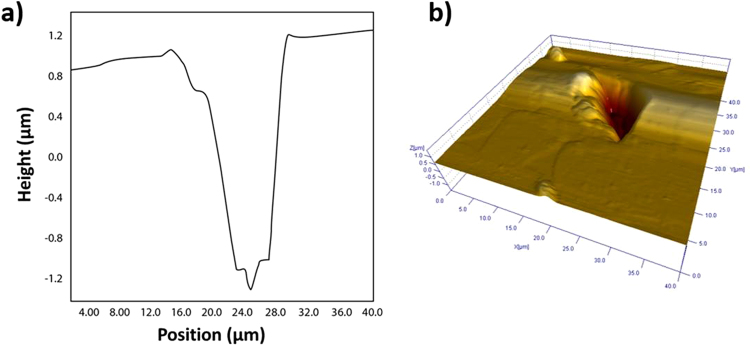 Figure 6