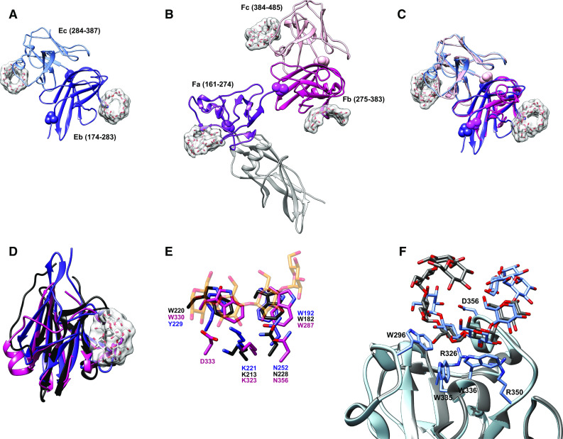 Fig. 4