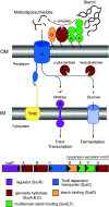 Fig. 1