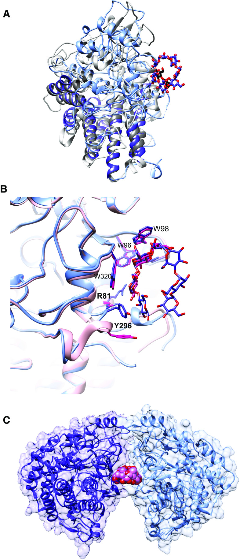 Fig. 2