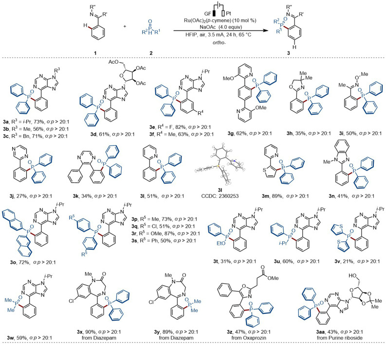 Scheme 2