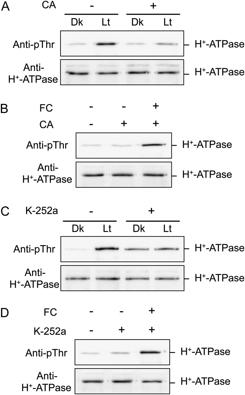 Figure 7.