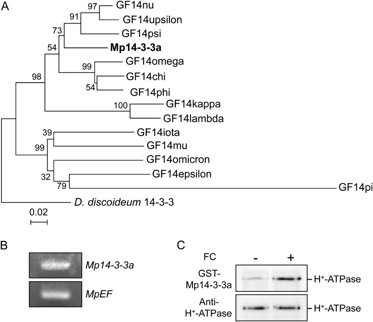 Figure 3.