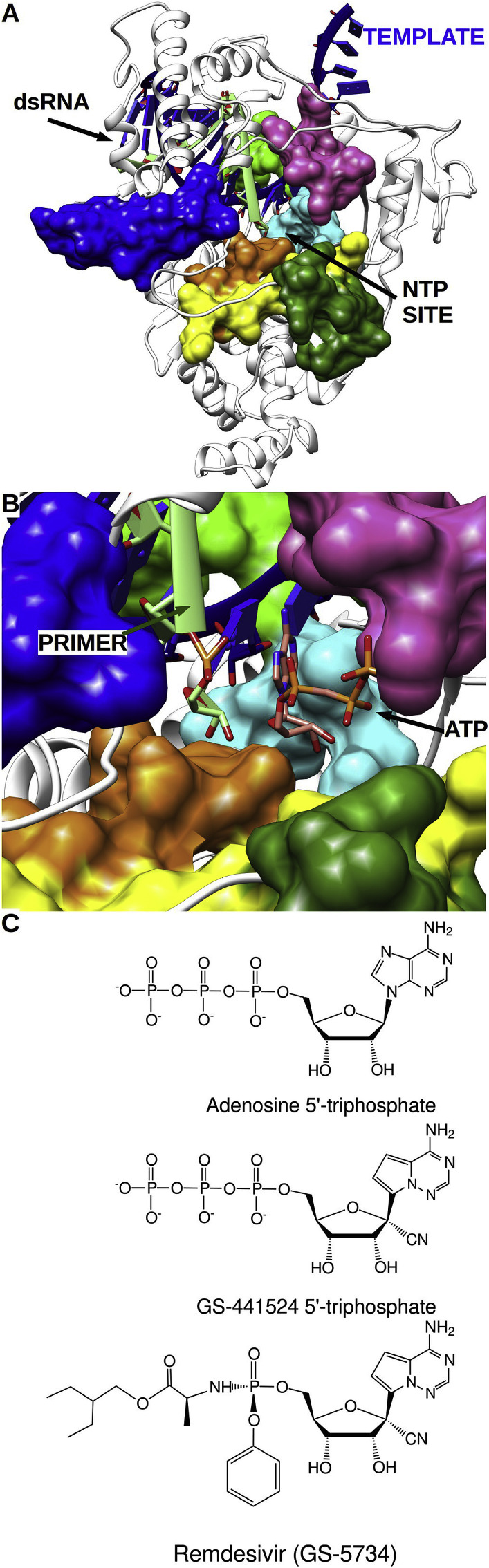 Fig. 2