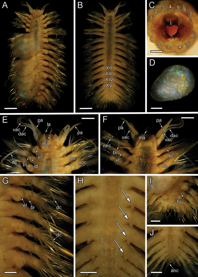 Figure 16.