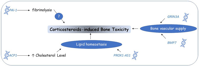 Figure 4