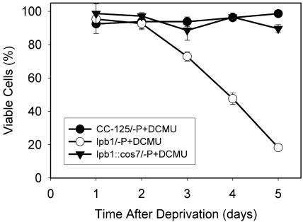 Figure 5.