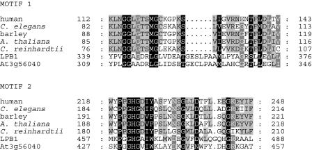 Figure 7.