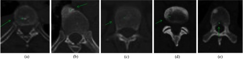 Fig. 8