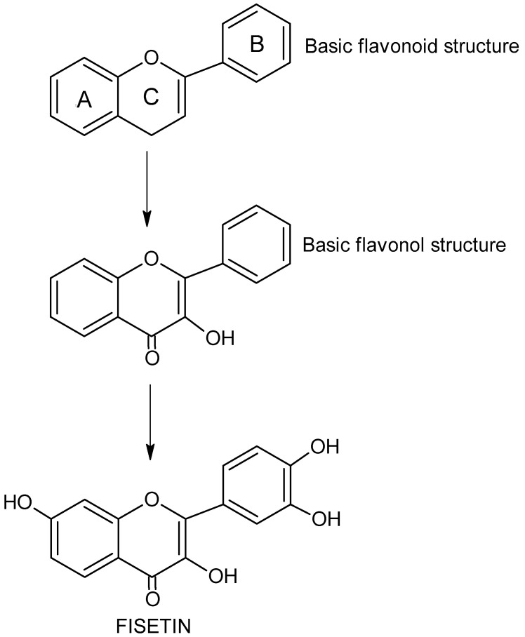 Fisetin, a Potent Anticancer Flavonol Exhibiting Cytotoxic Activity ...