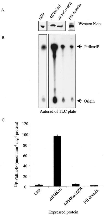 Figure 6.