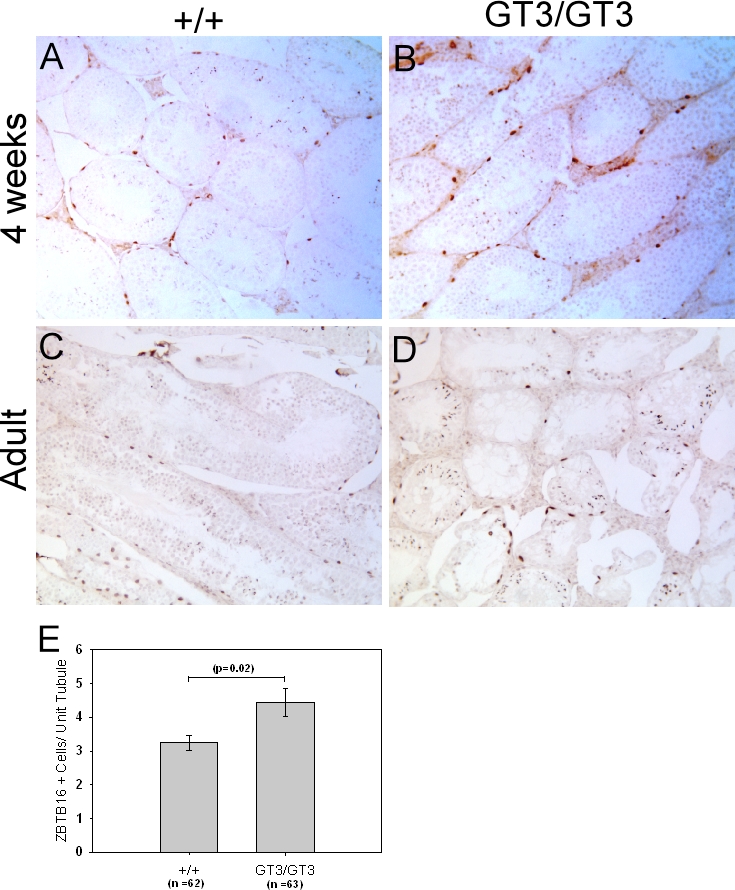 FIG. 9.