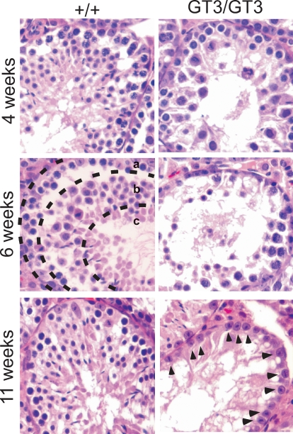 FIG. 5.