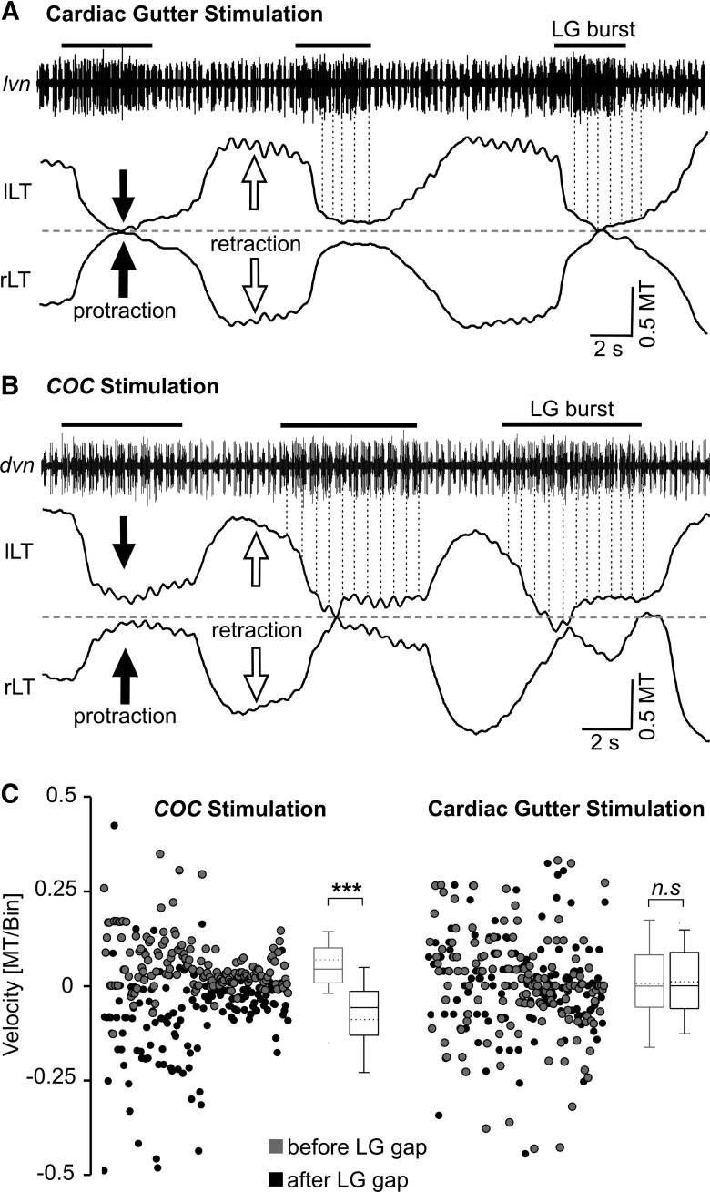 Figure 9.