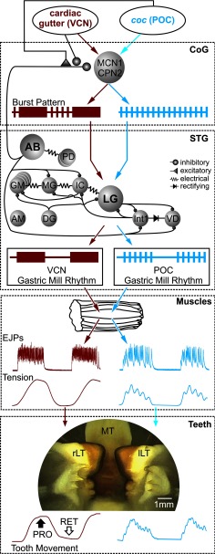 Figure 10.