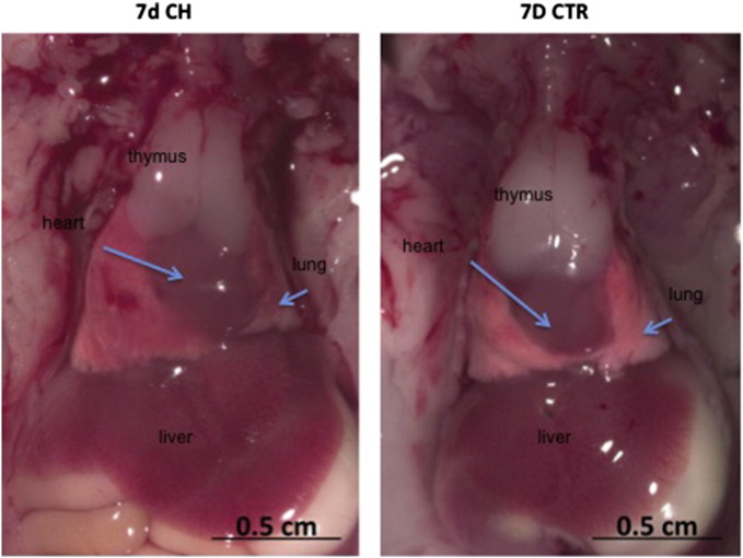 Supplementary Fig. 2