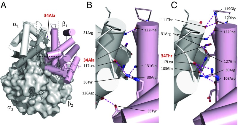 Fig. 3.