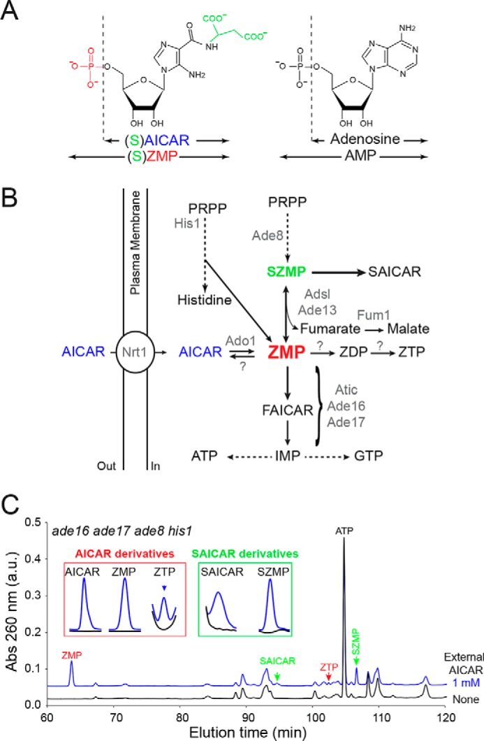 Figure 1.