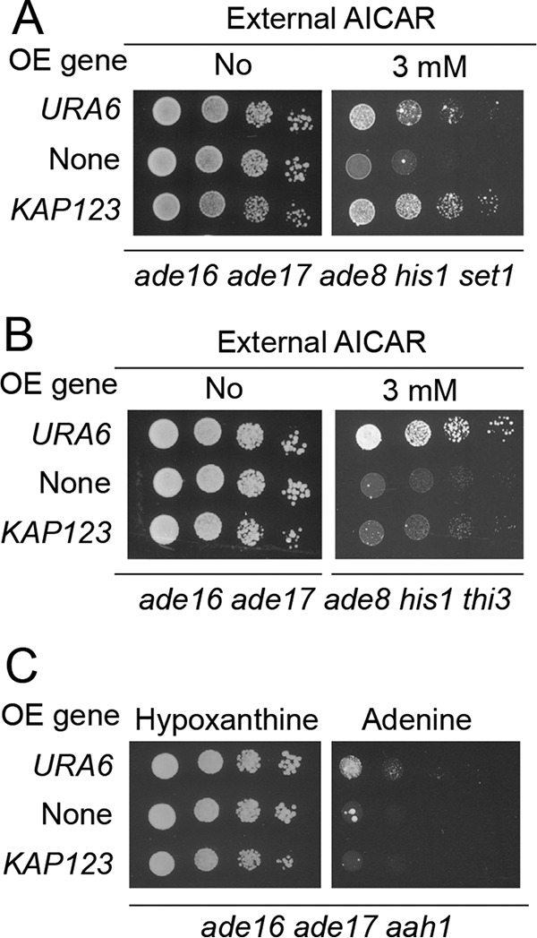 Figure 7.