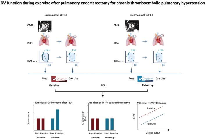 Right Ventricular Function During Exercise After Pulmonary ...