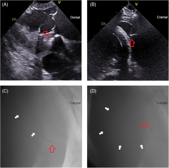 FIGURE 4