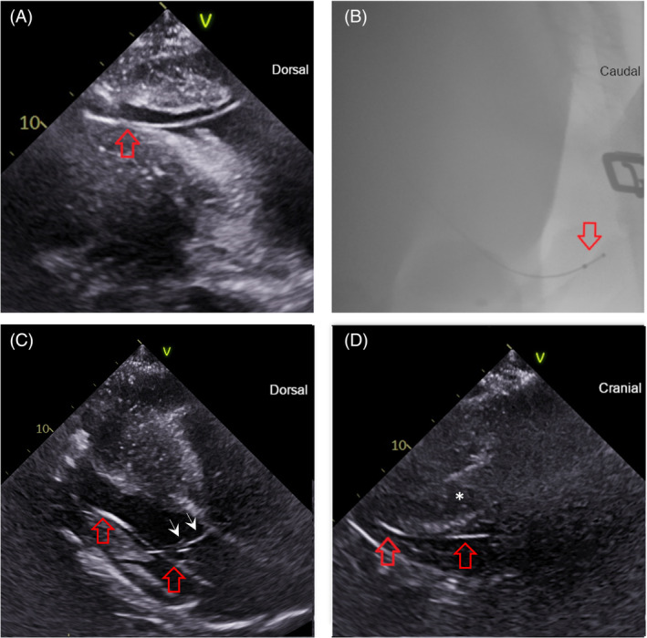 FIGURE 3