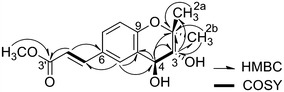 Fig. 2