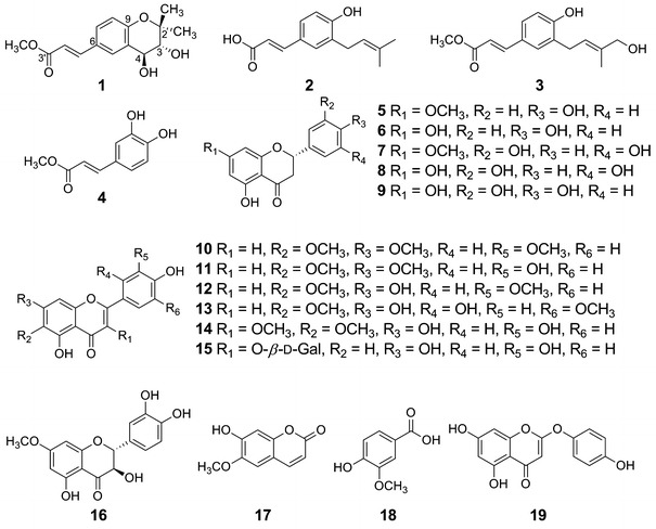 Fig. 1