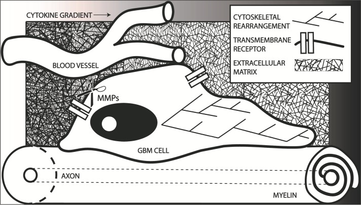 FIGURE 1: