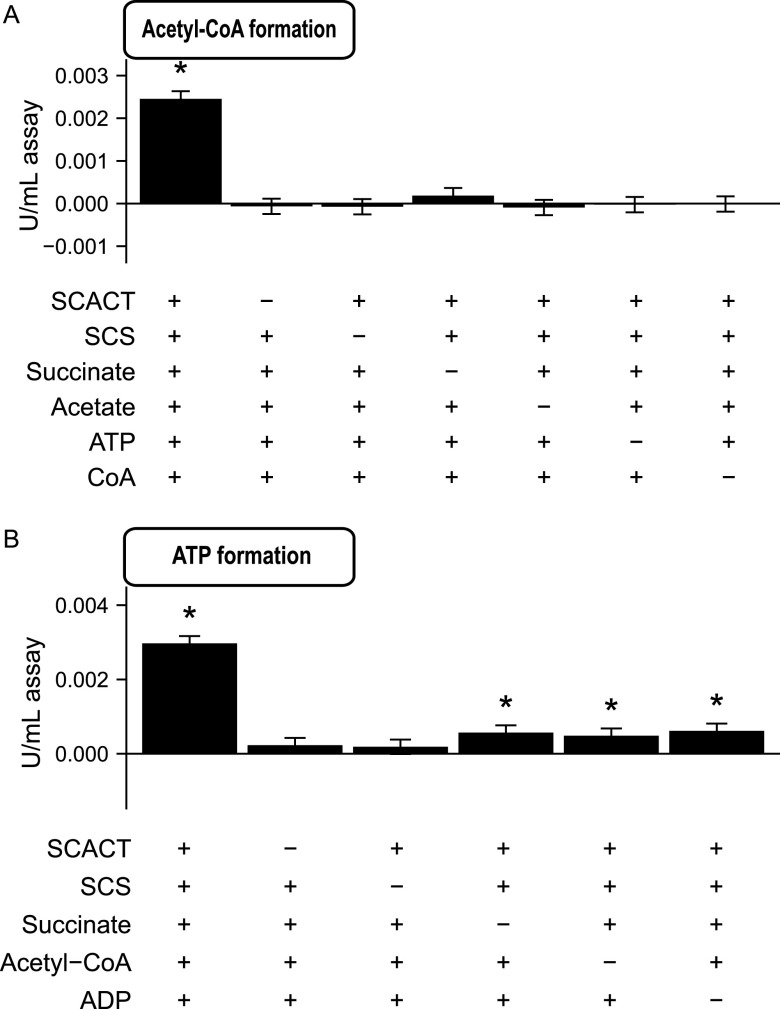 FIG 6