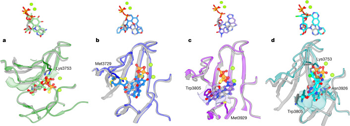 Fig. 3